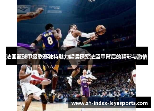 法国篮球甲级联赛独特魅力解读探索法篮甲背后的精彩与激情
