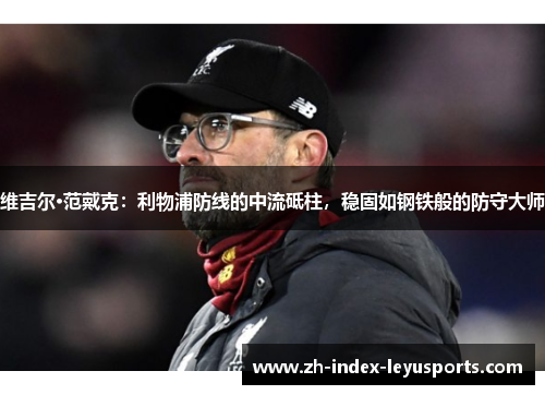 维吉尔·范戴克：利物浦防线的中流砥柱，稳固如钢铁般的防守大师