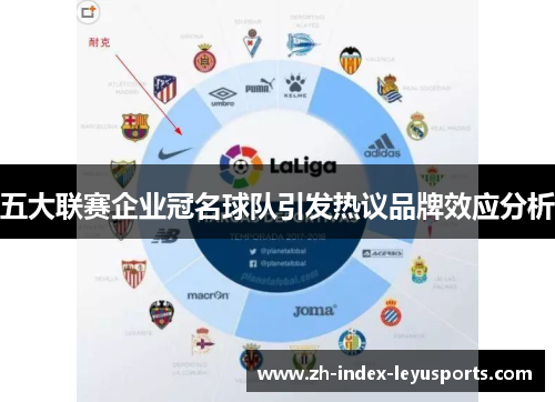 五大联赛企业冠名球队引发热议品牌效应分析 五大联赛企业冠名球队引发热议品牌效应分析